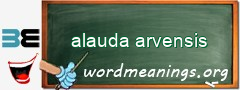 WordMeaning blackboard for alauda arvensis